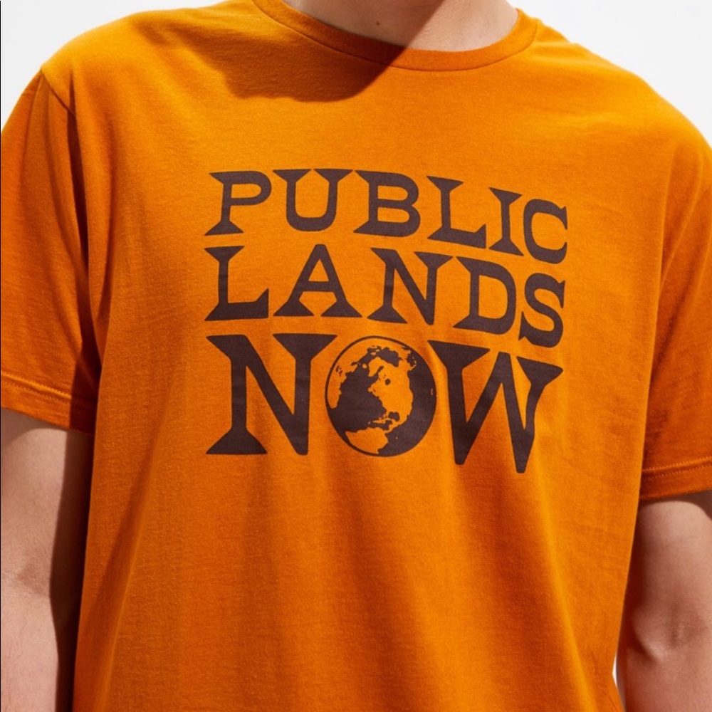 Patagonia public lands tee